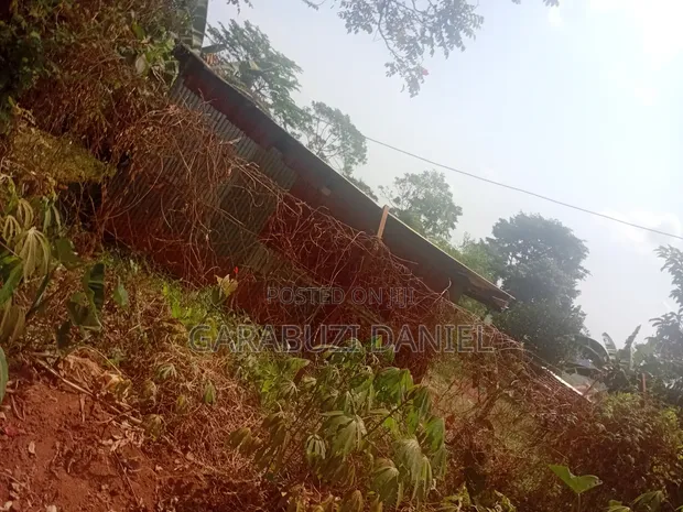 Land for Sale in Namunzi, Sissa - 1