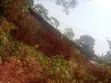 Land for Sale in Namunzi, Sissa - 1