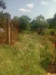 Land for Sale in Namunzi, Sissa - 2