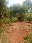 Land for Sale in Namunzi, Sissa - 3