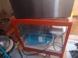 Food Warmer Glass Display - A&S - 1