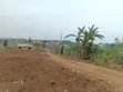 Half Acre Prime Land for Sale - Namugongo - Sonde - 2