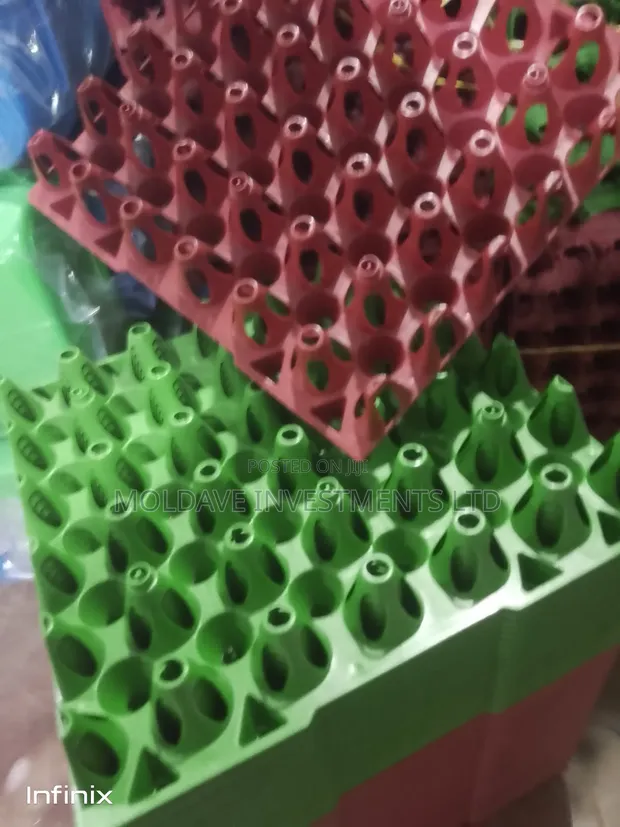 Plastic Egg Trays - 100pcs per Bundle - 1