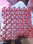 Plastic Egg Trays - 100pcs per Bundle - 4