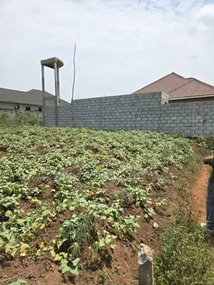 Titled Plot for Sale: 100x50ft in Matugga Ssanga