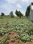 Titled Plot for Sale: 100x50ft in Matugga Ssanga - 2
