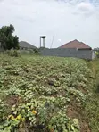 Matugga Ssanga Plot 100x50ft With Title - 2