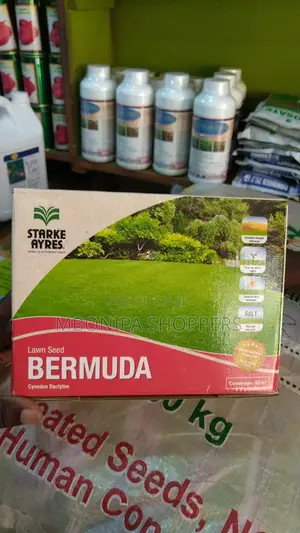 Starke Ayres Bermuda Mixture Seeds 500g