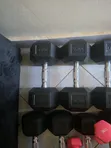 Best Choice Products Dumbbells (Used) - 2