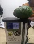 Hass Avocados - Commercial Quantities - 4