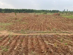 100 Acres Land for Sale in Kakoge