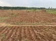 100 Acres Land for Sale in Kakoge - 1