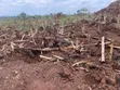 100 Acres Land for Sale in Kakoge - 2