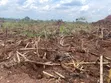 100 Acres Land for Sale in Kakoge - 3