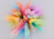 Powder Colours for Festivals and Parties - 4