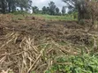 6 Acres of Land for Sale in Kyenjojo-Katooke - 2