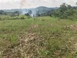 6 Acres of Land for Sale in Kyenjojo-Katooke - 3