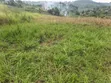 6 Acres of Land for Sale in Kyenjojo-Katooke - 4
