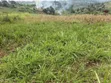 6 Acres of Land for Sale in Kyenjojo-Katooke - 5