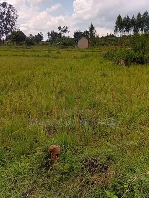 0.3 Acres Farmland with House Near Busuju