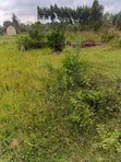 0.3 Acres Farmland with House Near Busuju - 2