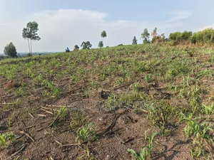 23 Acres Agriculture Land for Sale in Bufunjo-Kyenjojo