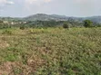 23 Acres Agriculture Land for Sale in Bufunjo-Kyenjojo - 5