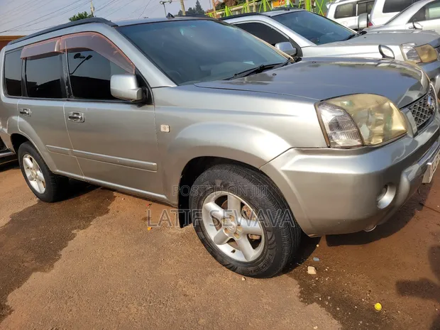 Nissan X-Trail 2.0 Comfort 2004 Silver - 1