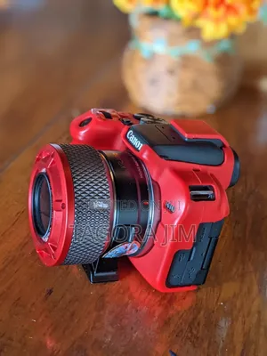 Canon R10 Body and Adaptor