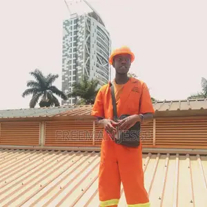 Independent Sales Agent CV