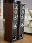 Polk Audio Premium Floor Standing Speakers (Brand New) - 2