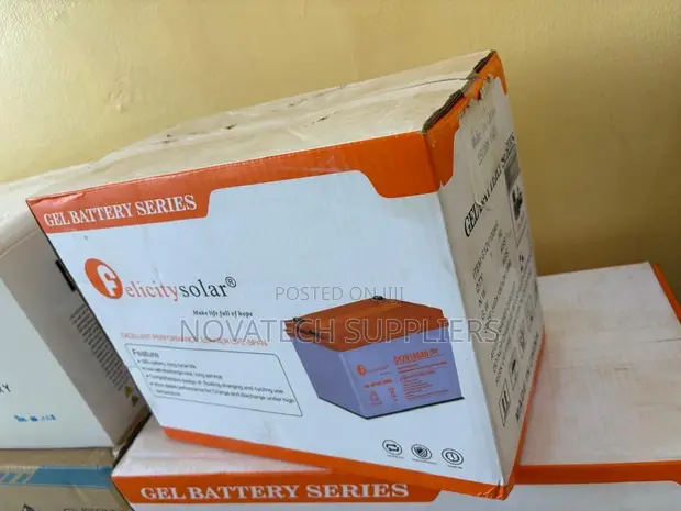 100Ah 12V Felicity Deep Cycle VRLA Gel Battery - 1
