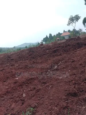 Mpigi Booza New Estate Land with Ready Titles