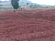 Mpigi Booza New Estate Land with Ready Titles - 3