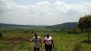 1 Acre Farmland for Sale in Nkonkojeru