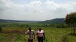 1 Acre Farmland for Sale in Nkonkojeru - 1