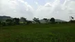 1 Acre Farmland for Sale in Nkonkojeru - 2