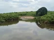 140 Acres Farmland for Sale in Bufunjo-Kyenjojo - 3