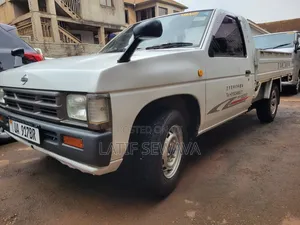 Nissan Dorus Mini Truck