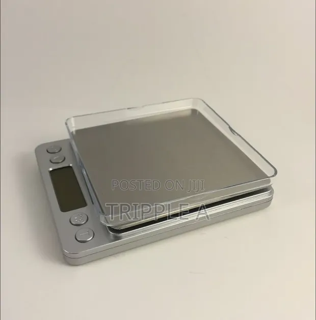 Portable Analytics Scale - 500g Capacity - 1