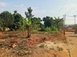 Plot for Sale in Kulambiro - 2