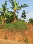 Plot for Sale in Kulambiro - 4