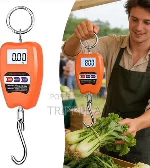 Mini Industrial Hanging Baggage Weighing Scale