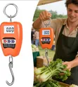 Mini Industrial Hanging Baggage Weighing Scale - 1