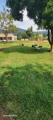 Land for Sale in Luwero - 1