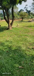 Land for Sale in Luwero - 2