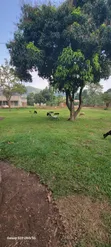 Land for Sale in Luwero - 3