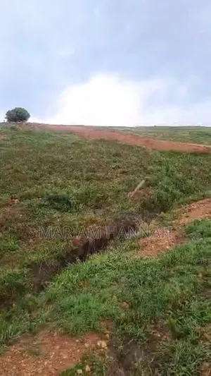 Titled 50x100 Plots for Sale in Kira Buwaate