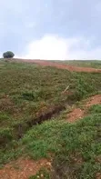 Titled 50x100 Plots for Sale in Kira Buwaate - 1