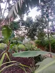 Furnished 3-Bedroom House for Sale in Kakerenge, Wakiso - 3